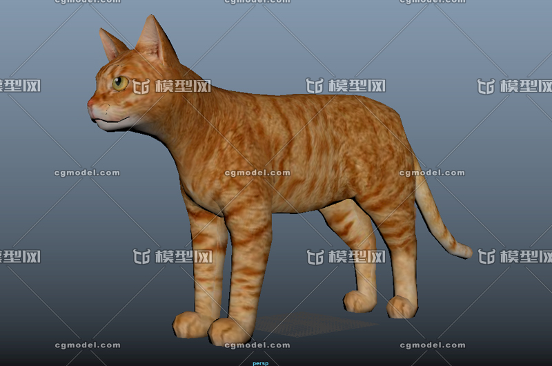 猫 通用格式 带多组骨骼动画 带材质贴图 哺乳 动物 Poppinlion Cg模型网