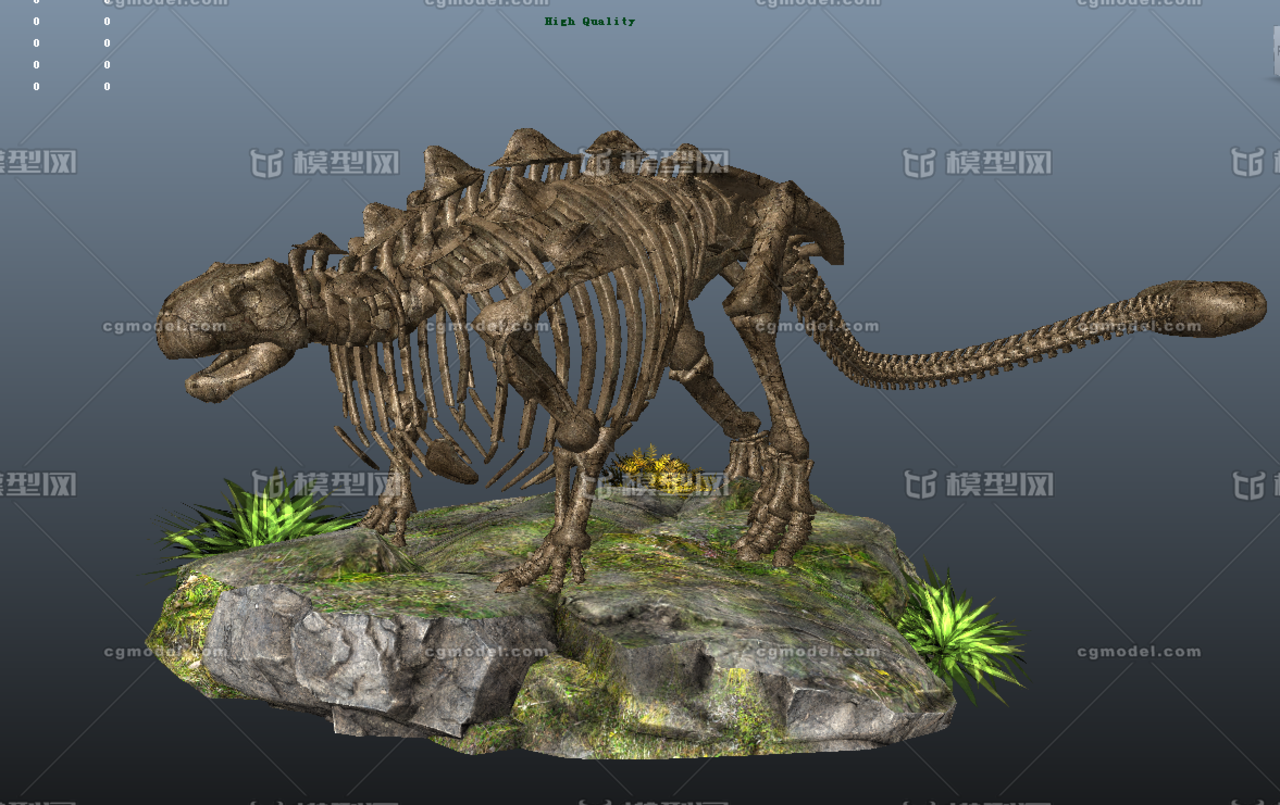 甲龙 古生物化石 恐龙博物馆 地质博物馆 恐龙化石骨架 3d模型 史前