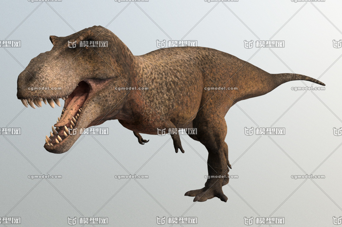 霸王龙3d模型_abinbin123作品_动物恐龙动物恐龙_cg模型网