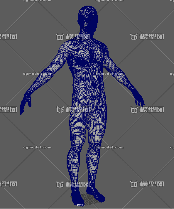 x光透明人体带骨骼和部分血管内脏-男人-人物-克一-cg