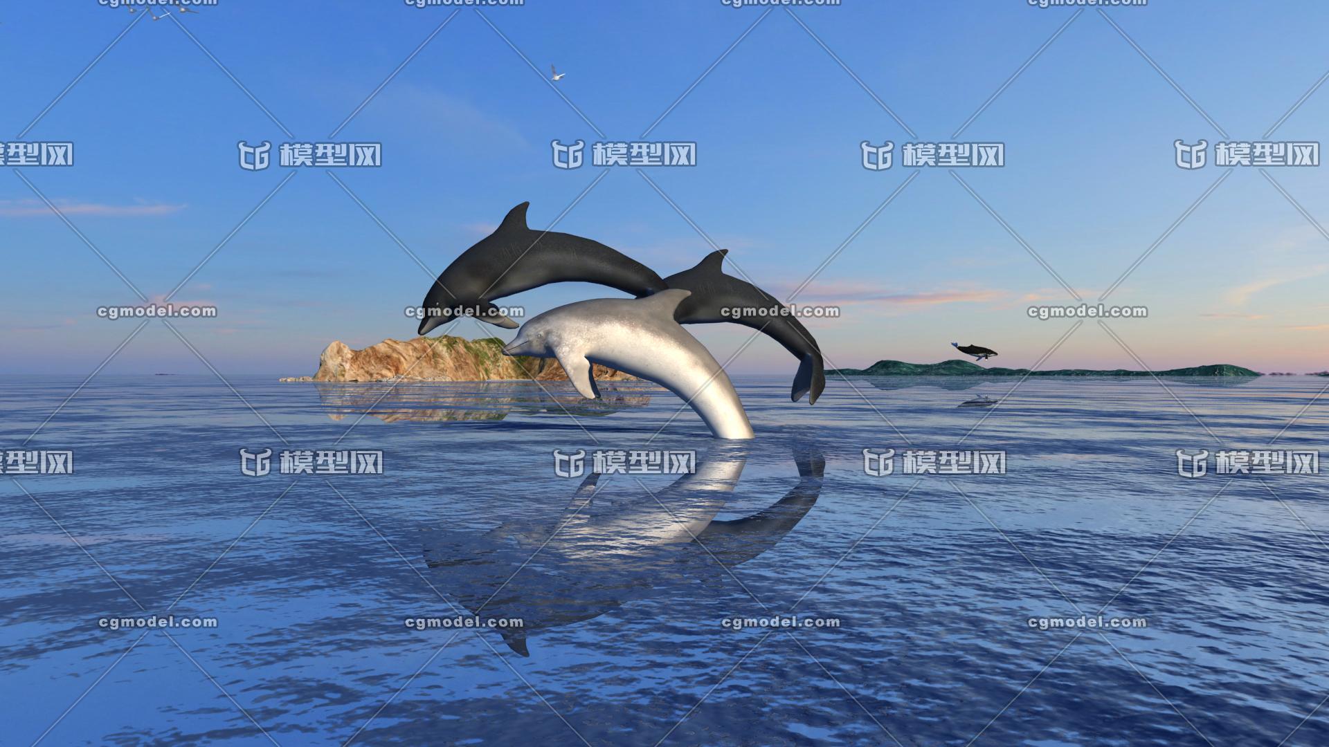 海面鲸鱼出水动画 海面海豚出水动画 海豚戏海鸥海面 海洋 大海