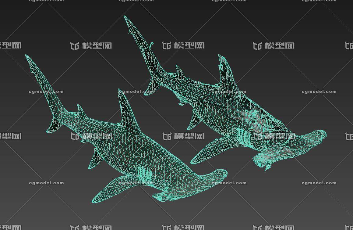 受重伤的锤头鲨 双鬓鲨 次世代 _judyzhang作品_动物鱼类_cg模型网