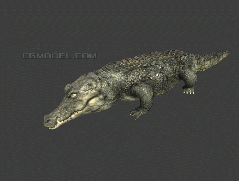 高品质 鳄鱼 巨鳄 凶猛 史前巨鳄 怪兽 虚拟现实3d模型,带行走,撕咬