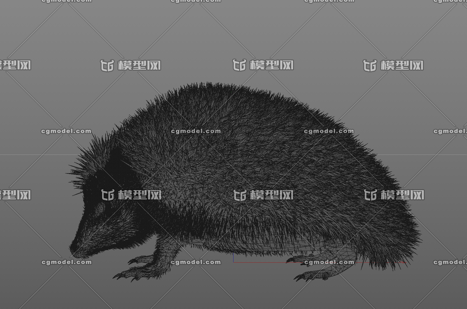 写实刺猬 刺猬模型_zedsf作品_动物哺乳_cg模型网