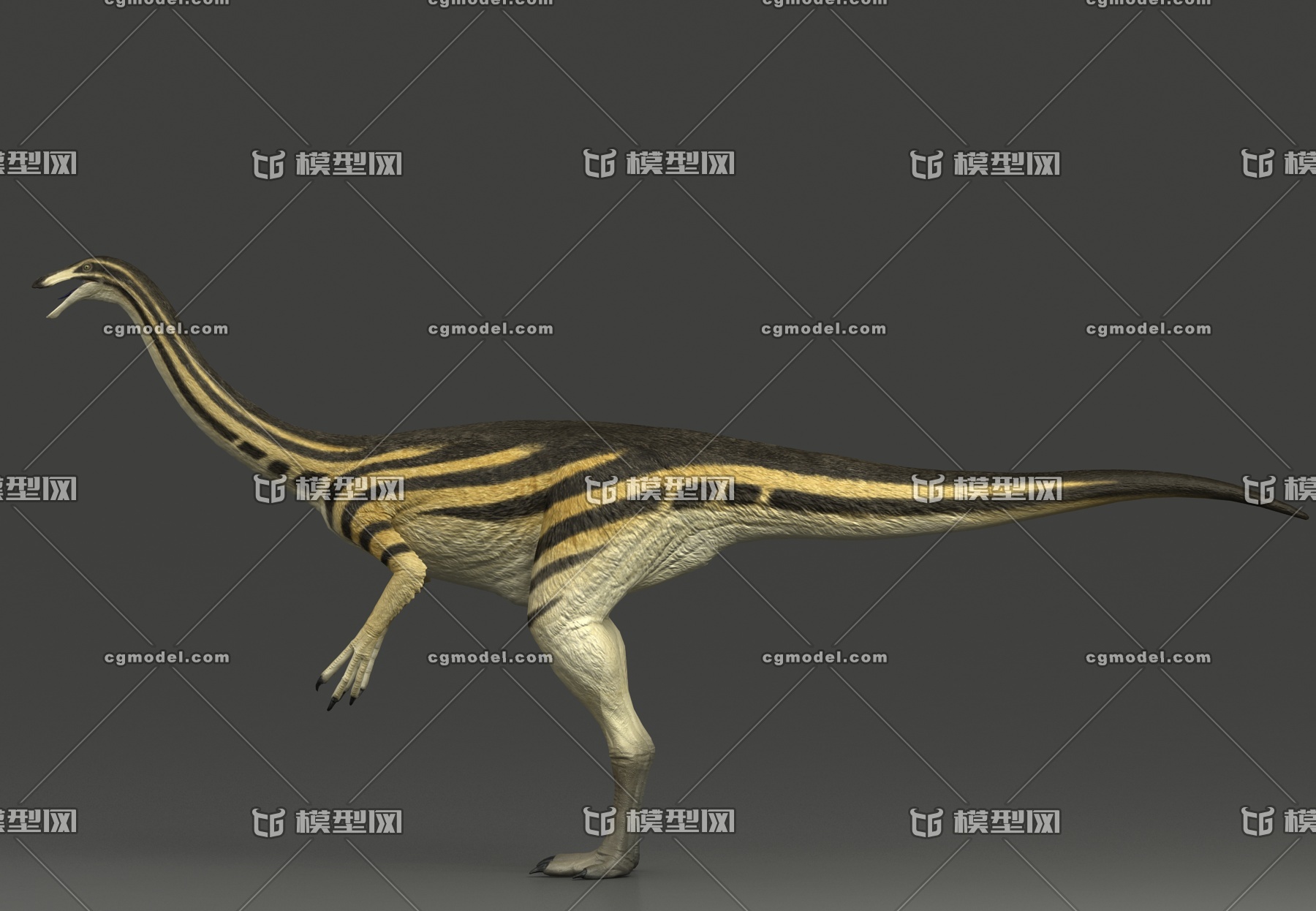 写实 似鸡龙 gallimimus _436437作品_动物恐龙_cg模型网