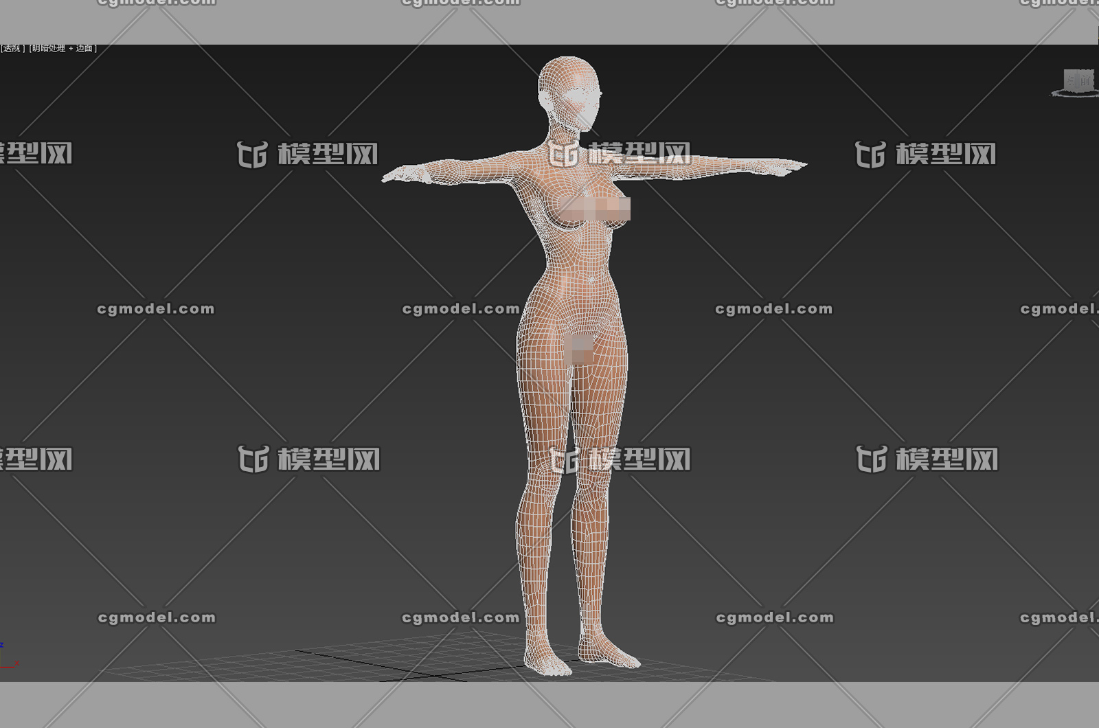 女人人体3d模型