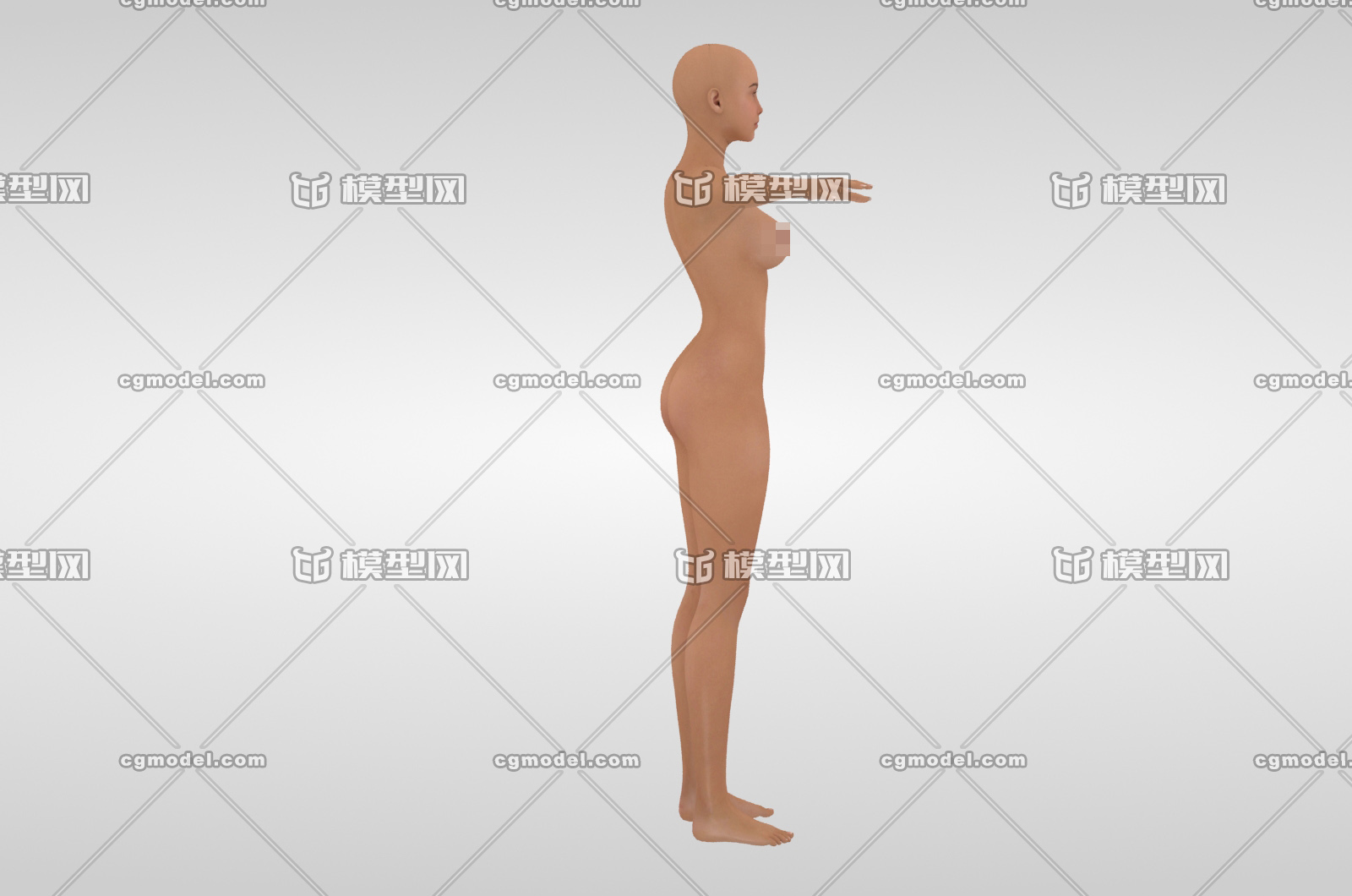 女人人体3d模型