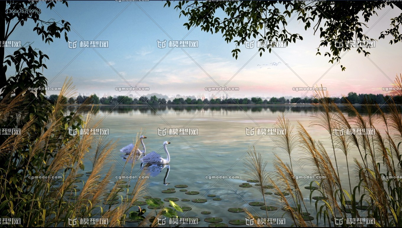 自然生态湿地 湖岸水景 城市湿地 芦苇水草 白天鹅 仙鹤动画 植物