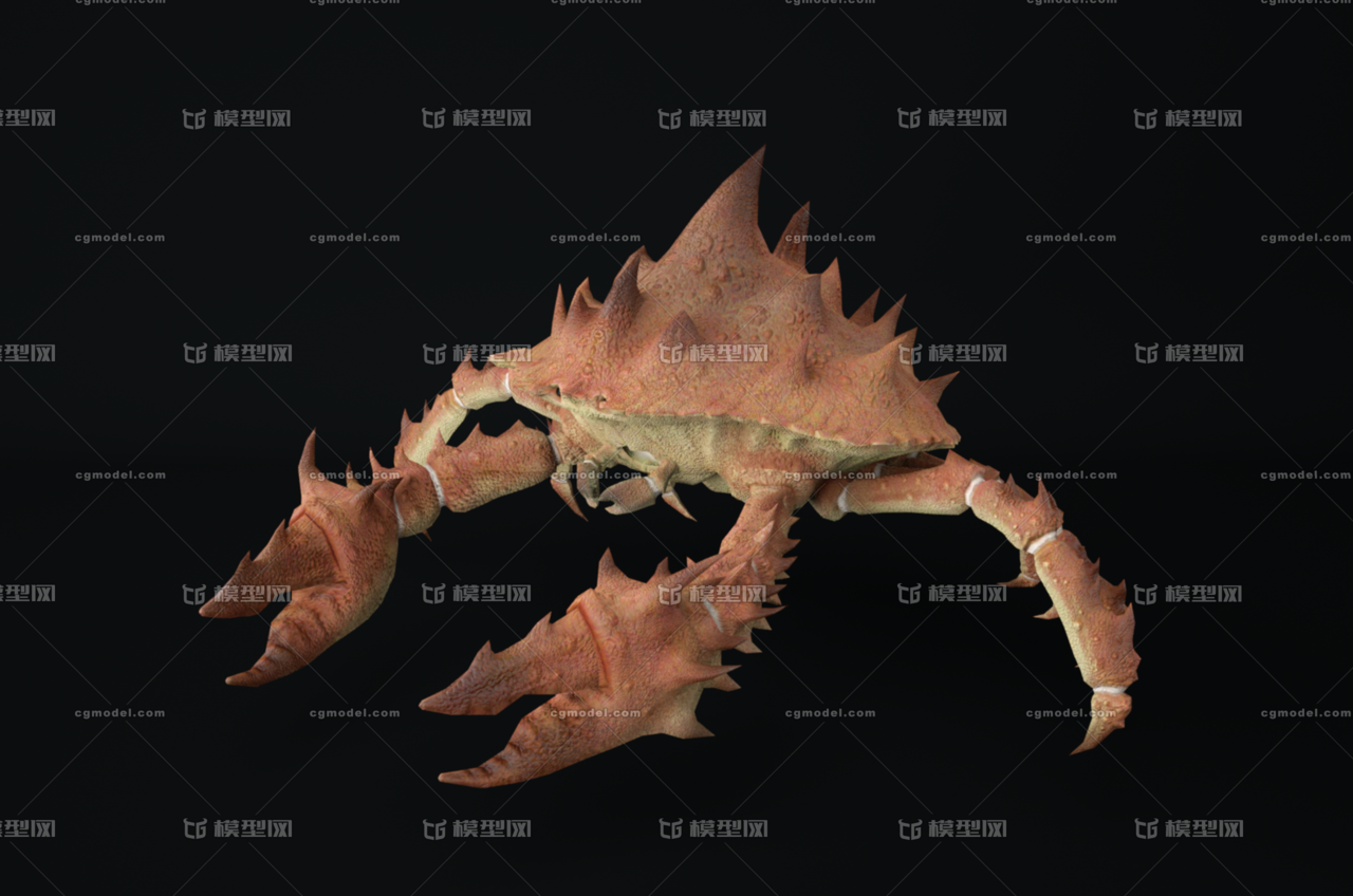【带绑定】超写实螃蟹 海蟹 变异蟹 游戏模型 爬行蟹 河蟹 螃蟹 海蟹