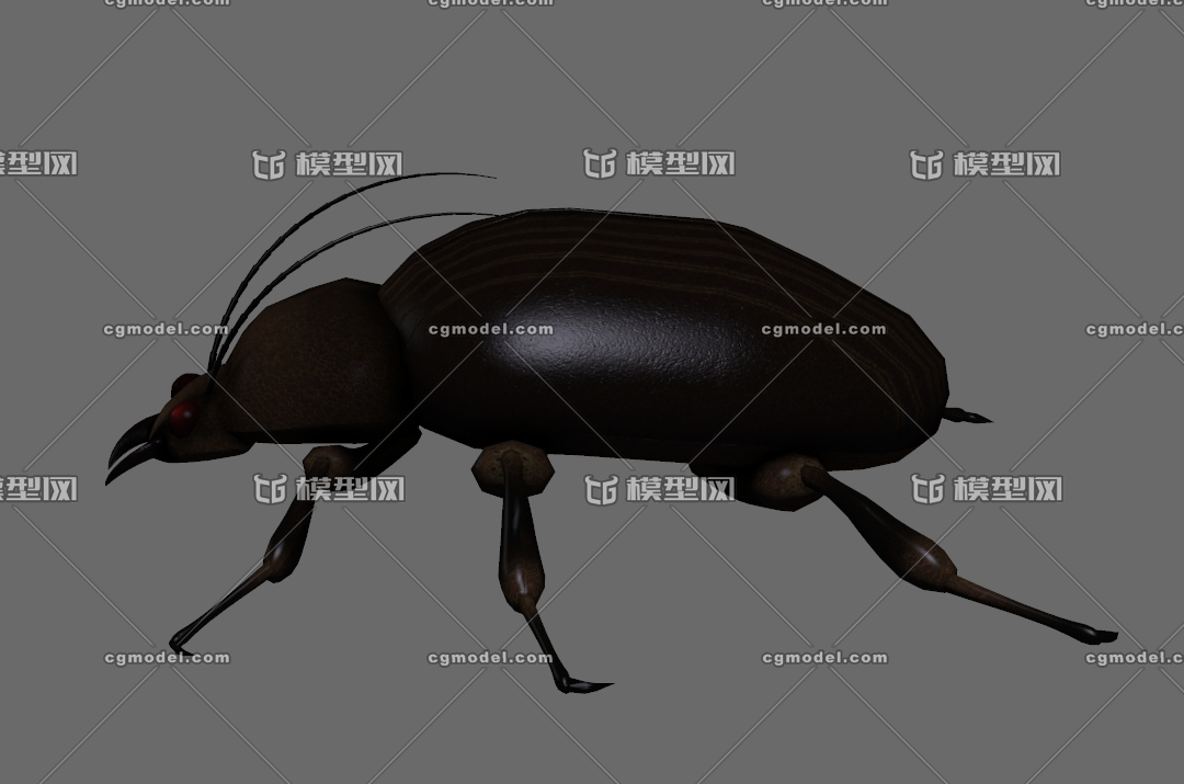 甲壳虫 甲壳动物 甲壳类 土鳖虫 甲壳昆_ancher作品_动物昆虫_cg模型