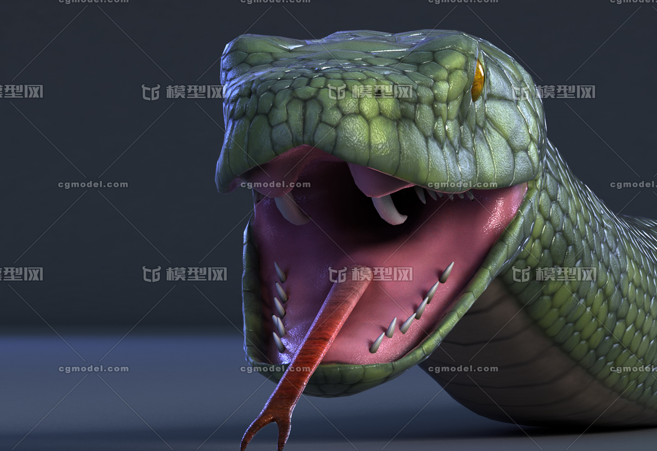 精细 蟒蛇 巨蟒 绿蛇 大蛇 蚺 蝮蛇 影视动画级别 冷血动物 全套4k