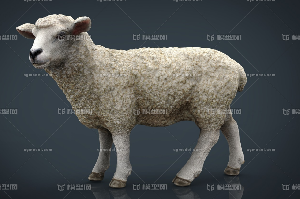 高精贴图 超写实次世代 绵羊 sheep 小绵羊 山羊 羊群 放牧羊 羊羔