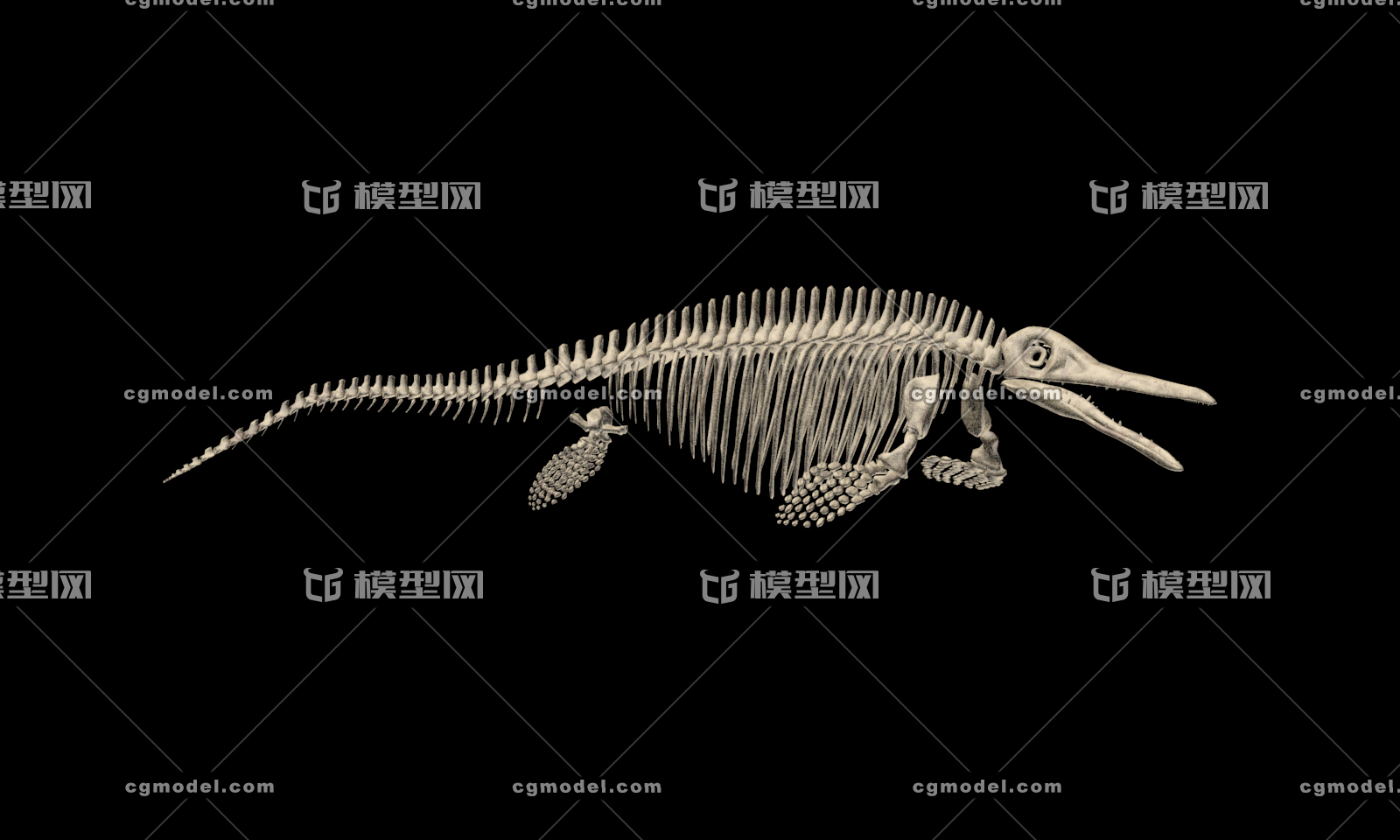 鱼龙 骨架模型 古生物骨架 博物馆 效果图 专用