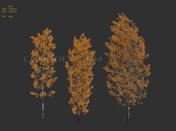 一共3棵动态的带风场动画的景观庭院园林行道树,精模低面,有gif图