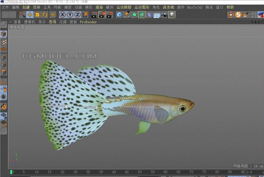 鱼类组合 鲤鱼 鲶鱼 鱼 -鱼类-动物-huang155-cg模型网
