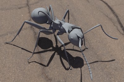 高精度写实昆虫甲虫蚂蚁模型