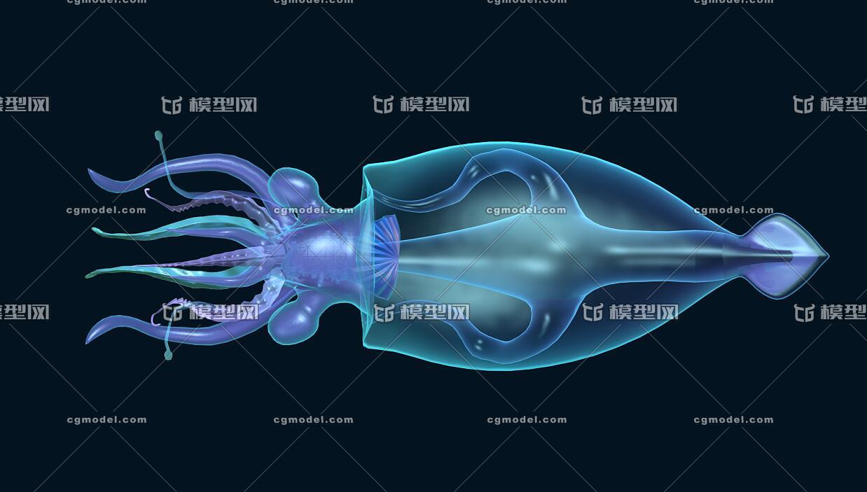 透明乌贼 章鱼 八爪鱼 水母 鱿鱼 乌贼 深海章鱼 乌贼鱼 墨斗鱼 目鱼