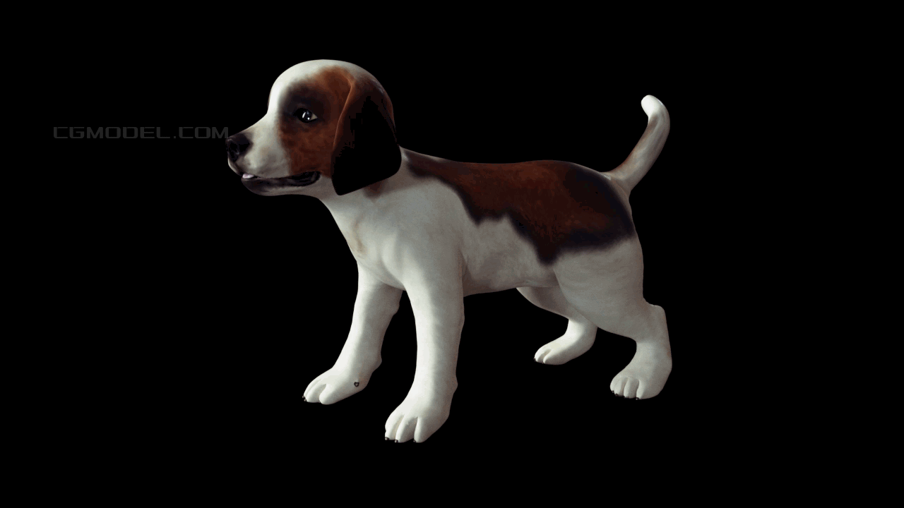 狗狗q萌爱犬 可爱宠物 带动画
