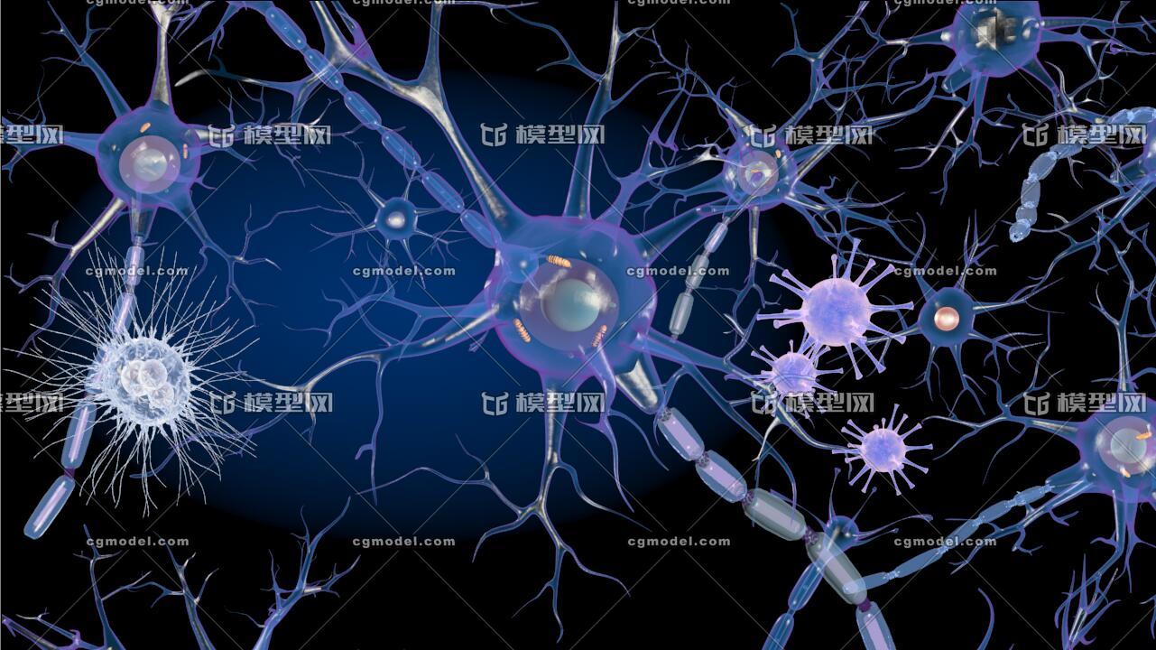 神经原细胞 医学模型 神经元 神经原 神经细胞 神经突触