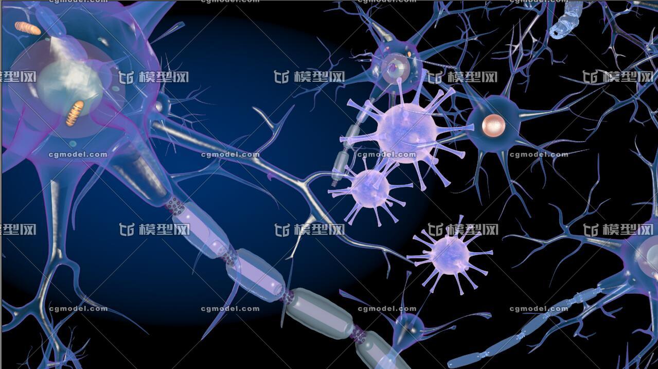 神经原细胞 医学模型 神经元 神经原 神经细胞 神经突触
