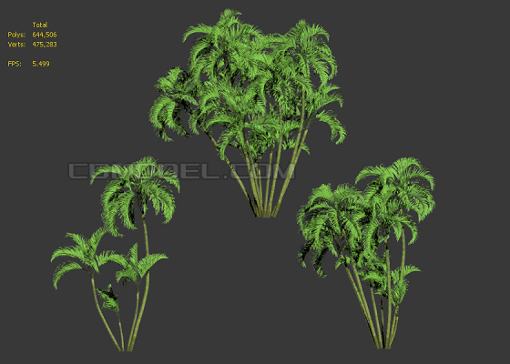 绿化组团竹子,小区庭院园林景观竹,景观组团常见植物,**面少有gif图