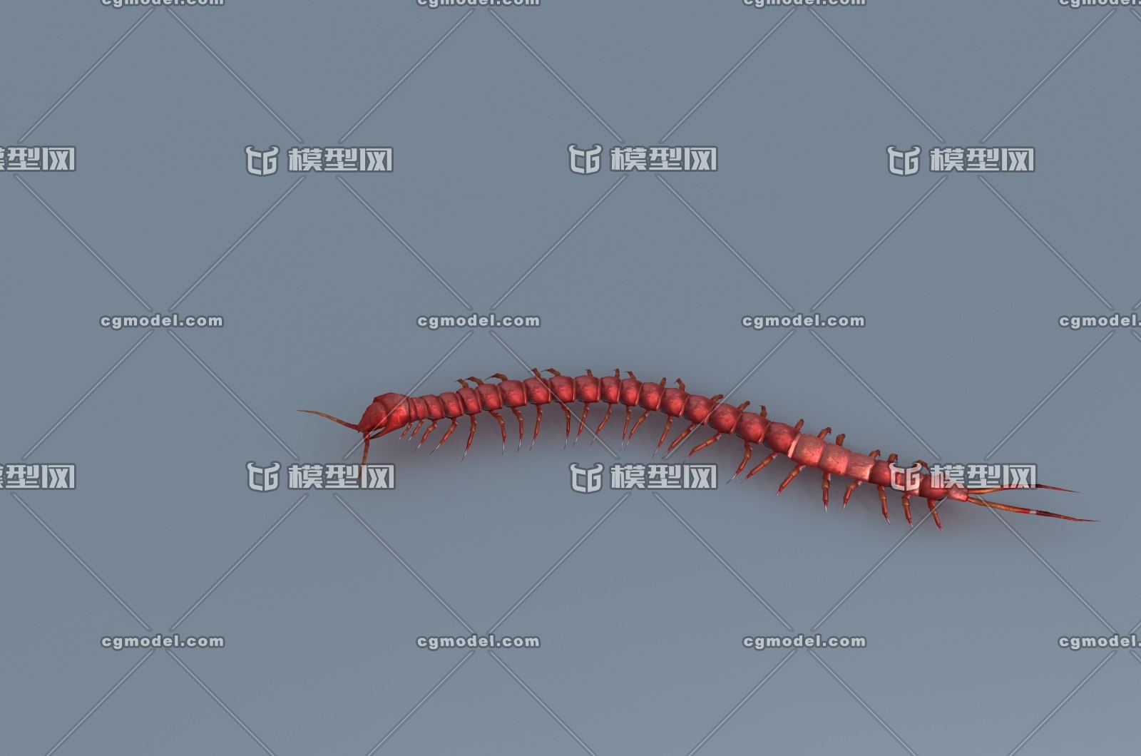 蜈蚣3d路径绑定蜈蚣