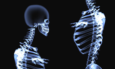 医学动画 人体骨骼 x光片 ct透视 拍片 医学模型 小白 骨骼系统,人体