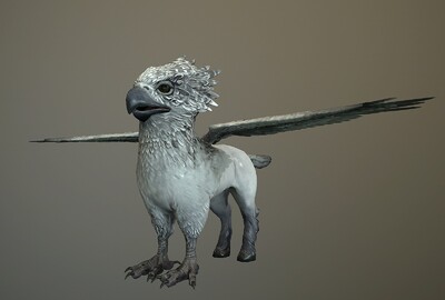 奇幻生物 鹰马兽 幼崽 hippogriff 鹰头马身有翼兽 次世代 神话动物