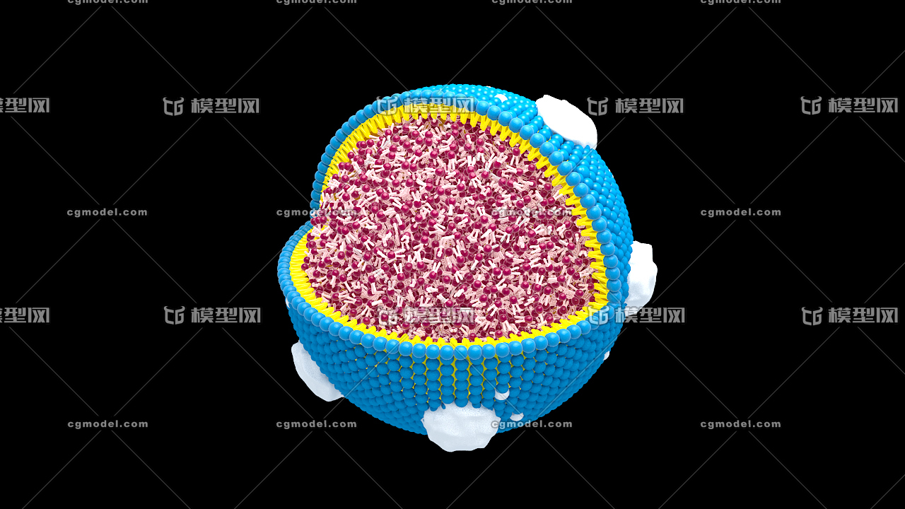 医学动画,高精度脂蛋白分子细胞,营养物质,微观结构,人体结构 生物