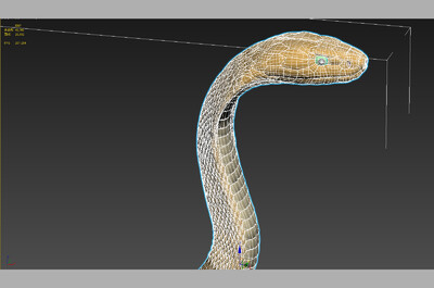眼镜蛇3d模型