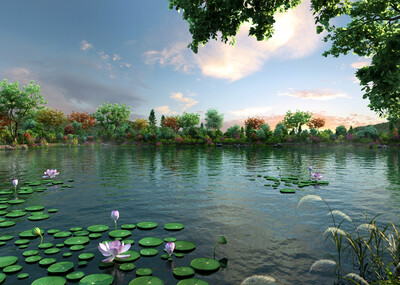 植物,湿地公园,池塘,自然景观,树,水景,河边,max场景,湖畔,唯美,片头