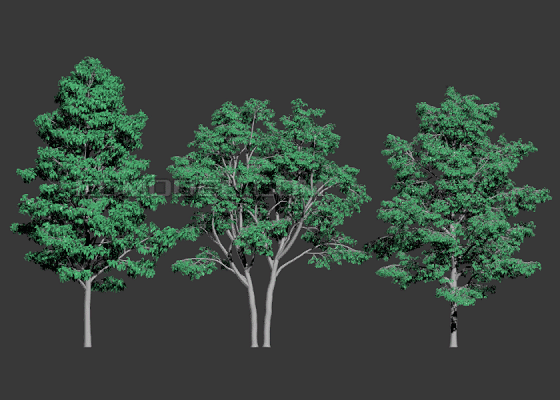 3棵新动态树,风场动画园林树,行道树,鸟瞰树,商业小品广场树,景观设计