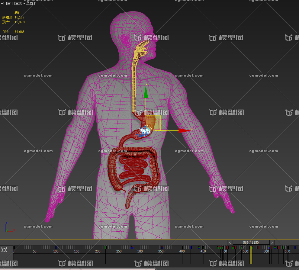 人体消化器官 食物人体消化过程 演示 u3d人体器官