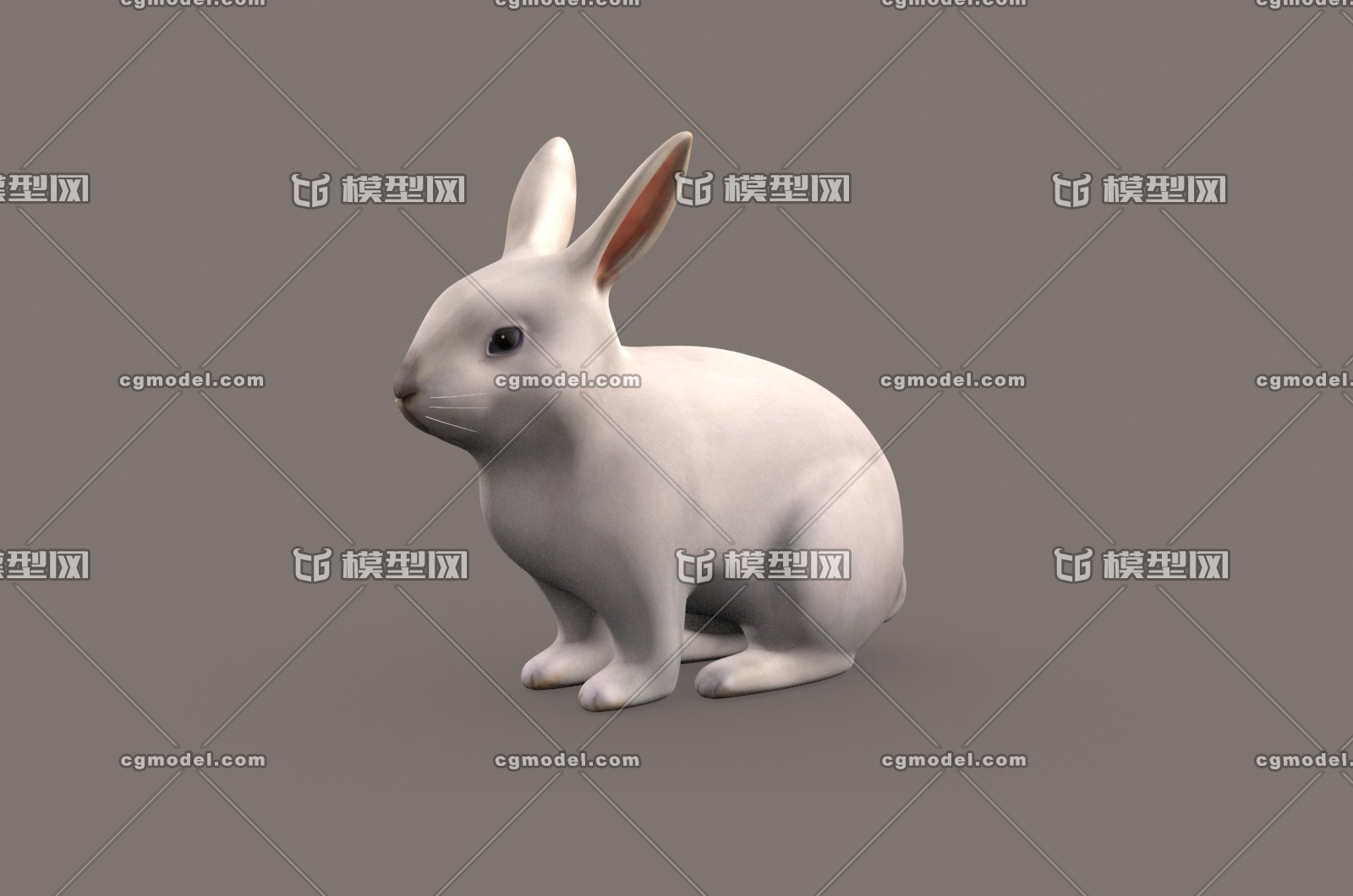 精细兔子3d模型_abinbin123作品_动物哺乳_cg模型网