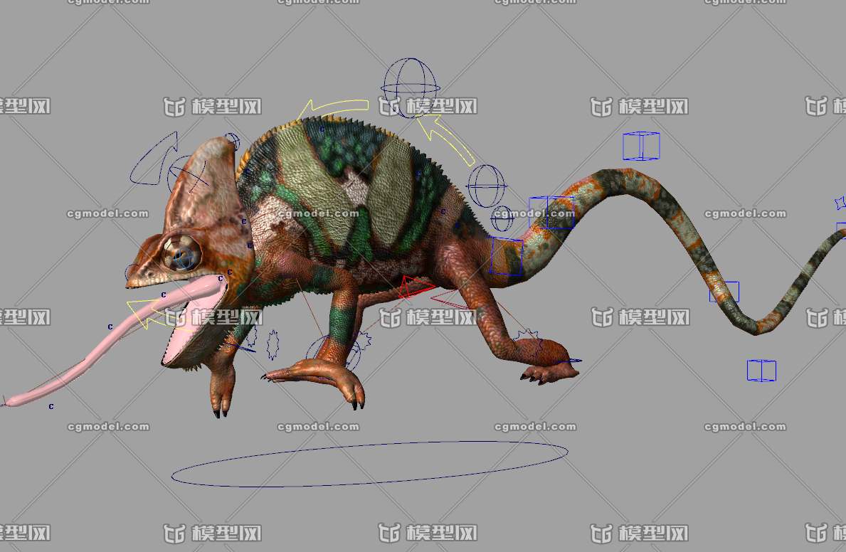 写实变色龙蜥蜴动物模型带材质贴图骨骼绑定
