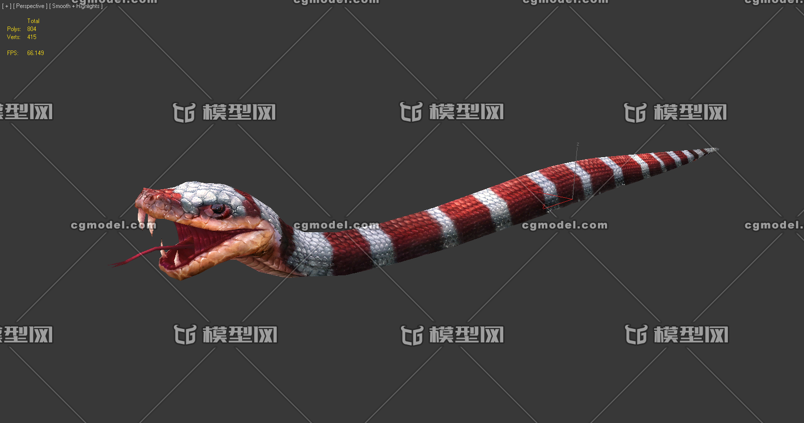 草蛇红色蛇红蛇可怕的毒蛇