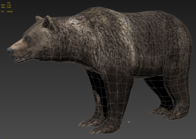 次世代 pbr 超写实 灰熊 熊 棕熊 狗熊 小怪 熊怪 大型动物 bear 黑熊