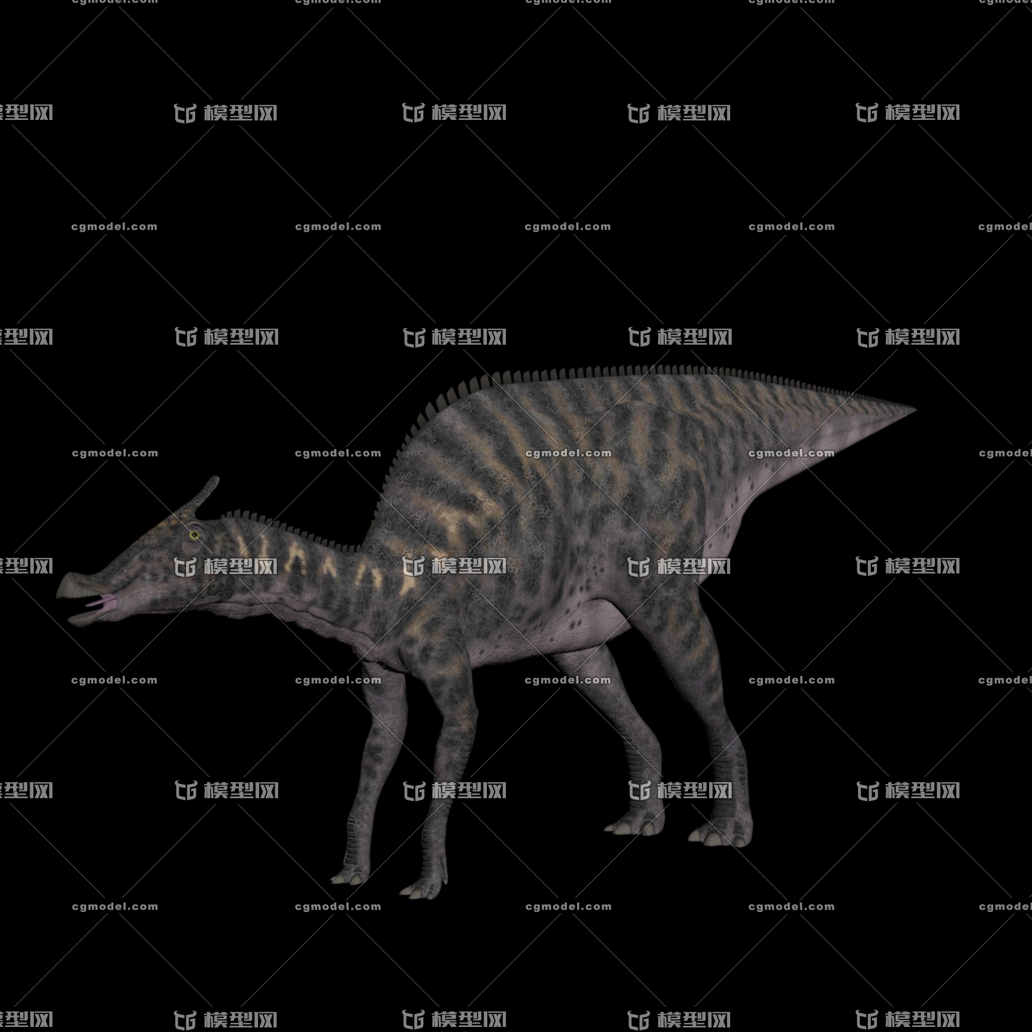 栉龙3ds max 2015_fanyeda作品_动物恐龙_cg模型网