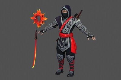 次世代日本忍者 刺客 杀手 甲贺忍者 伊贺忍者 日本武士 武士道 武士