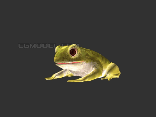 青蛙 幼蛙 蝌蚪 两栖动物 带绑定动作 动物模型 虚拟现实游戏模型
