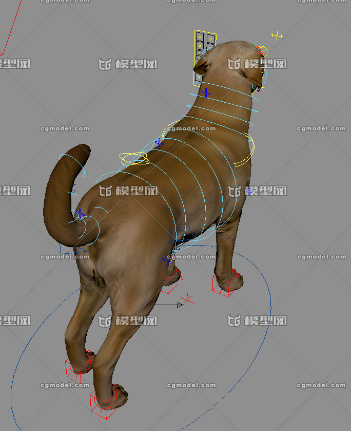 表情绑定狗狗宠物家犬家狗土狗导盲犬adv四足 绑定写实狗子 Cg模型网 Cgmodel 三维设计师交流互动平台 专注多品类3d模型下载 原创作品分享 软件学习