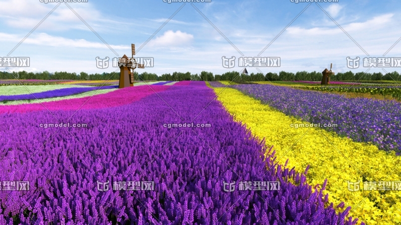 花田 花海公园 农田 油菜花地 写实生态田园 自然农田景观 油菜花海