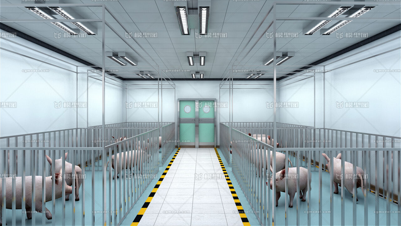 猪圈科学养猪厂科技饲养圈养养殖母猪小猪公猪pc2点缓存动态模型