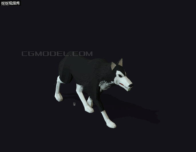 = 卡通  狼 野狼   游戏模型 有动画 low poly风格   带绑定(有控制器