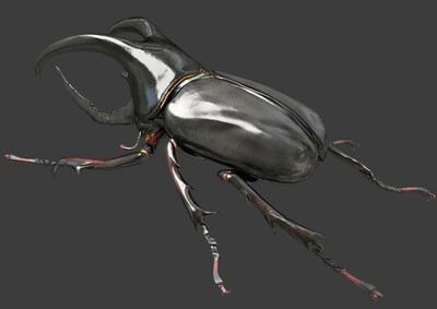 pbr次世代 独角仙 甲虫 双叉犀金龟 写实昆虫 节肢动物 有翅昆虫 六足