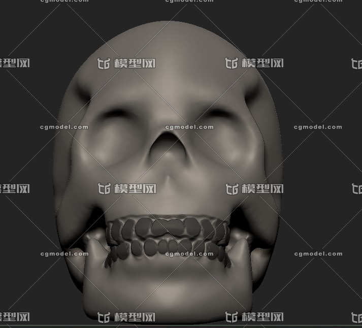 zbrush骷髅头模型