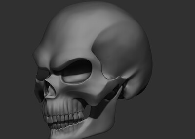 zbrush高模 骷髅头 _a_now作品_人物异形怪物_cg模型网