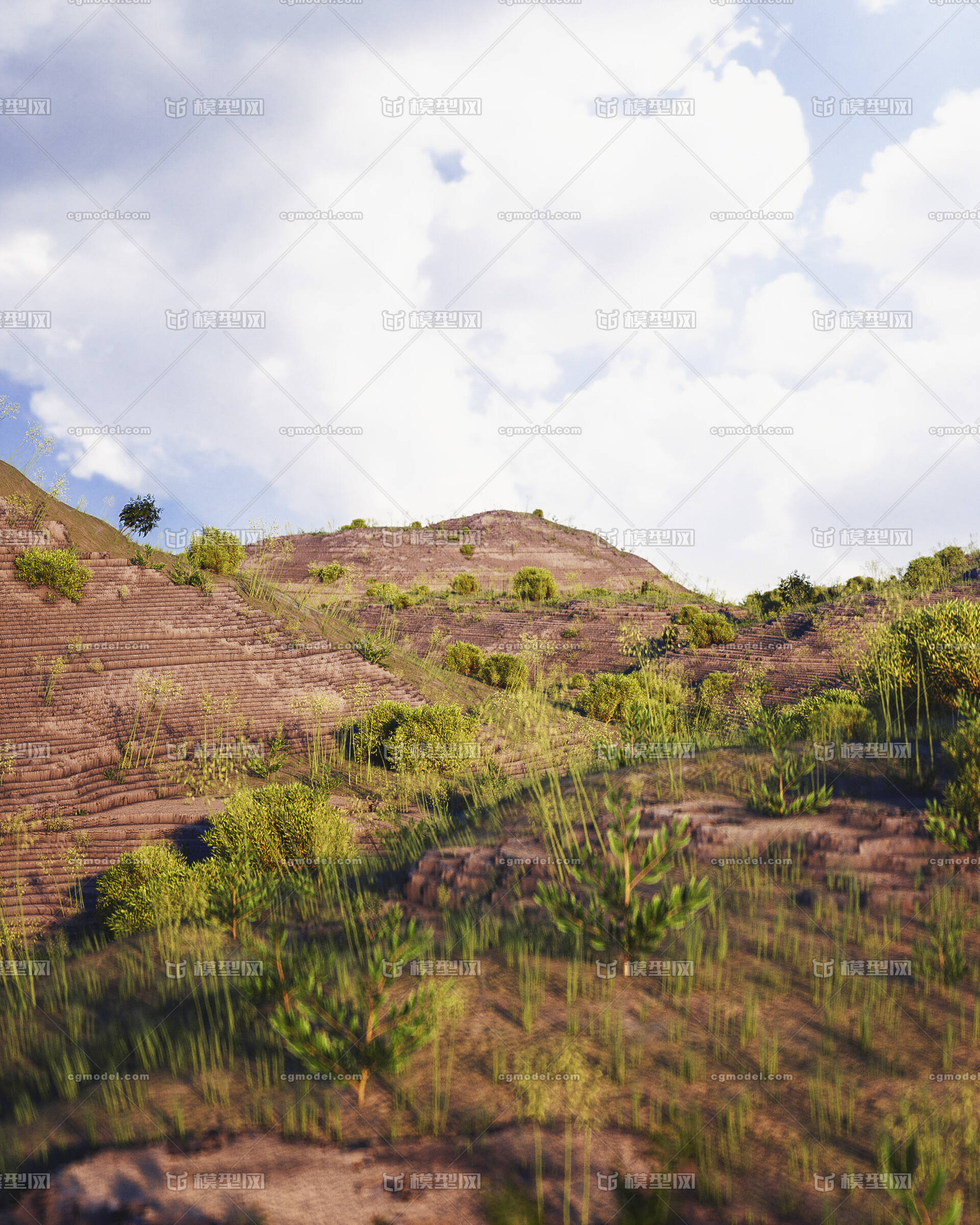 写实c4d 山破 丘陵 山地 梯田 植物 山区模型 带材质 贴图 渲染图一张