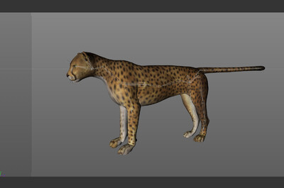 猎豹3d模型官方提示:1,如该资源发布者无特别说明,模型结构,精度及