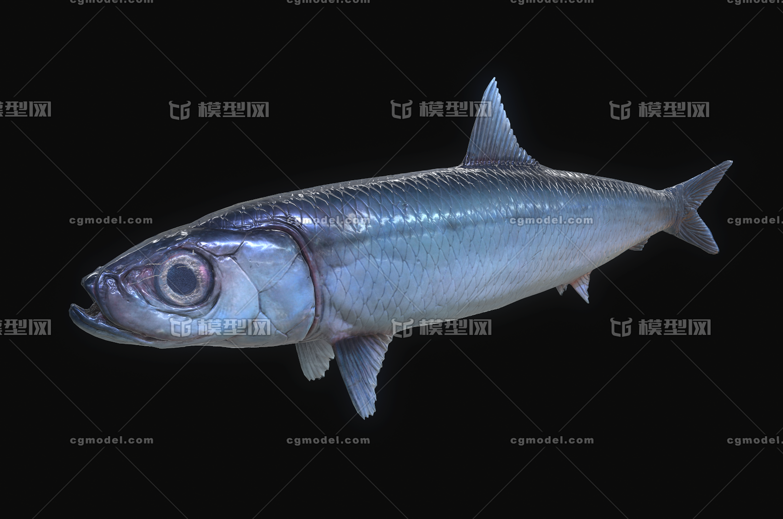 044 pbr次世代 鲱鱼 鲭鱼 鲐鱼 马鲛鱼 青鱼 草鱼 鲑鱼 鲷鱼 马哈鱼